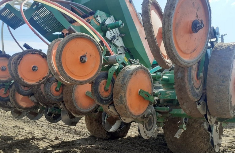 siewnik punktowy amazone model edx 6000tc